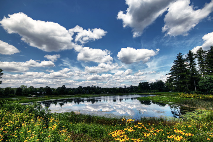 ILASS 2018 Chicago Morton Arboretum