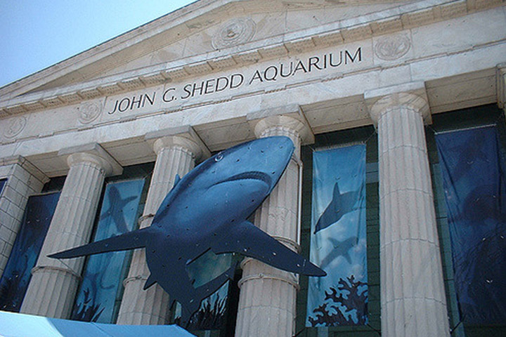 ILASS 2018 Chicago Shedd Aquarium